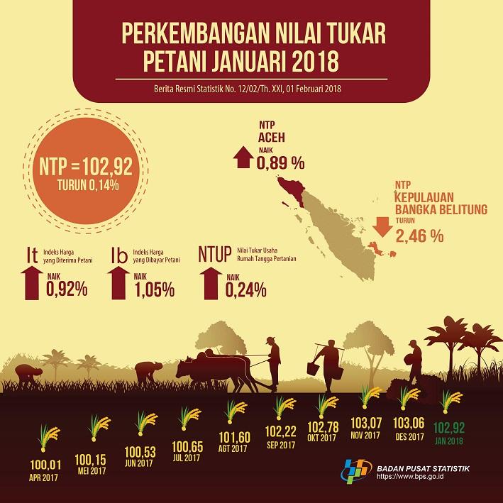 The Farmer Terms of Trade Updates and Producer Prices of Unhusked Rice January 2018