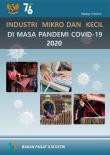 Industri Mikro Dan Kecil Di Masa Pandemi COVID-19, 2020