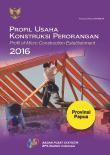 Profile of Micro Construction Establishment 2016 Papua Province