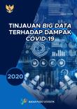 A Review of Big Data on the Impact of Covid-19 2020