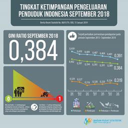 Gini Ratio September 2018 Tercatat Sebesar 0,384