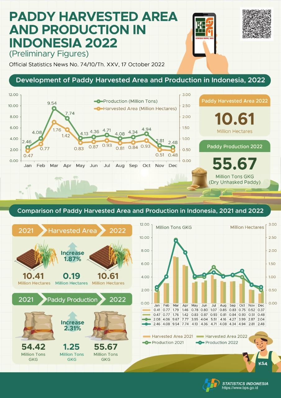 In 2022, Paddy harvested area was approximately 10.61 million hectares with 55.67 million tons of dry unhusked paddy (GKG) production