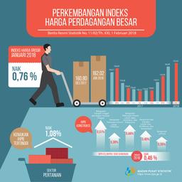 January 2018, General Wholesale Prices Index Non-Oil And Gas Increased 0.76%