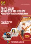 Profile Of Micro Construction Establishment Of Lampung Province, 2020