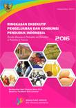 Executive Summary Of Consumption And Expenditure Of Indonesia March 2016