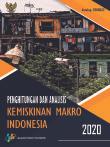 Computation and Analysis of Macro Poverty of Indonesia 2020