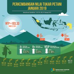 Nilai Tukar Petani (NTP) Januari 2019 Sebesar 103,33 Atau Naik 0,16 Persen. Harga Gabah Kering Panen Di Tingkat Petani Naik 2,22 Persen Dan Harga Beras Medium Di Penggilingan Naik 1,06 Persen