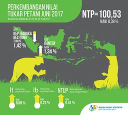 June 2017, Farmers Term Of Trade Reached 100.53 Or Increased 0.38 Percent