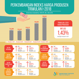 Producer Price Index Quarter I-2018