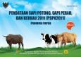 Pendataan Sapi Potong Sapi Perah (PSPK 2011) Papua