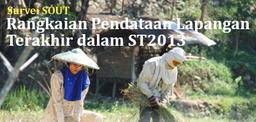 Survei SOUT, Rangkaian Pendataan Lapangan Terakhir dalam ST2013 