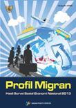 Migrants Profile Results Of Susenas 2013