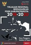 Regional Overview Based on 2016-2020 GDRP (Provinces at Nusa Tenggara, Maluku, and Papua Island)