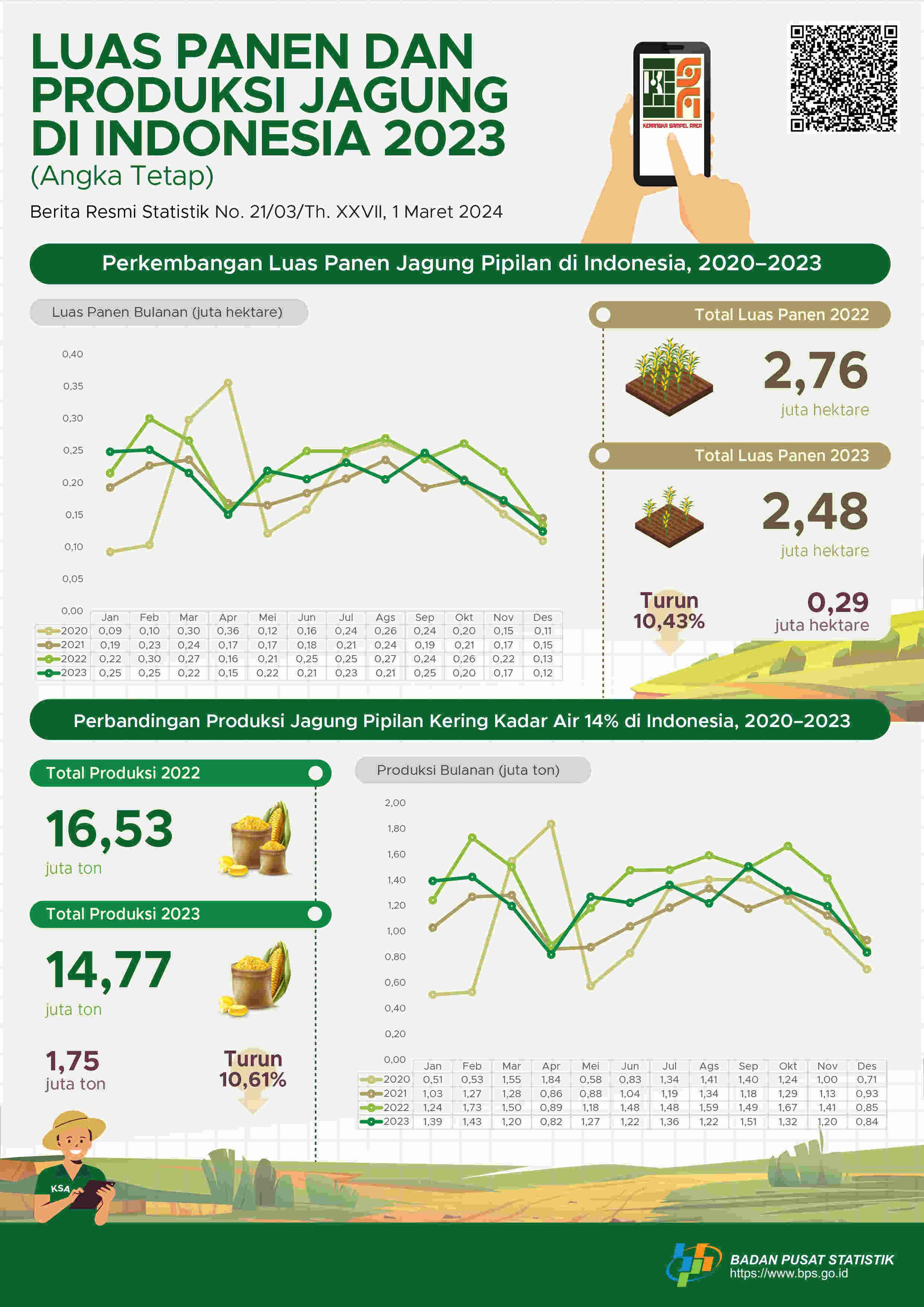 Pada 2023, luas panen jagung pipilan mencapai 2,48 juta hektare. Produksi jagung pipilan kering dengan kadar air 14 persen pada 2023 sebesar 14,77 juta ton.