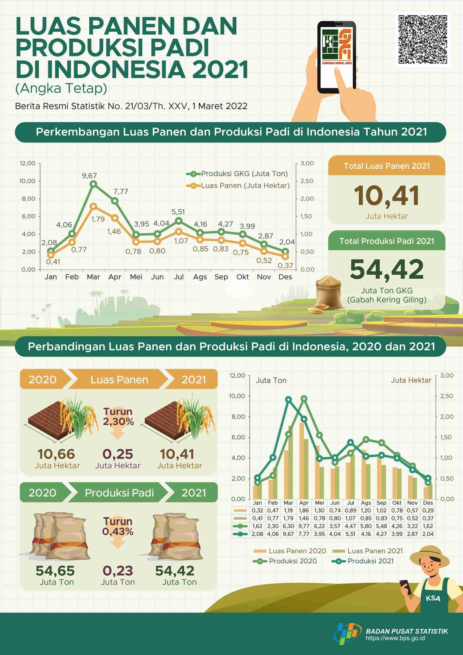 Produksi Padi Tahun 2021 Turun 0,43 persen (Angka Tetap)