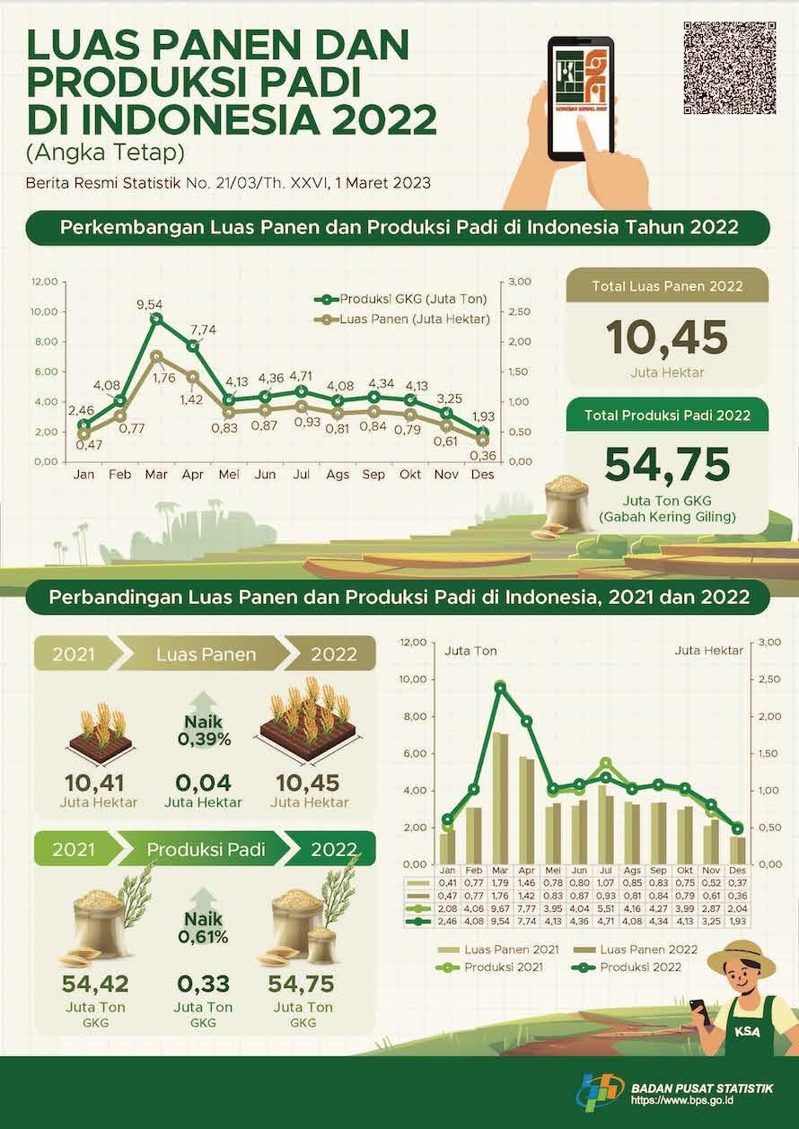 Pada 2022, luas panen padi mencapai sekitar 10,45 juta hektar dengan produksi sebesar 54,75 juta ton GKG.