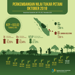 Farmer Exchange Rate (NTP) In October 2018 Is 103.02 Or Decreased 0.14 Percent, Harvest Dry Grain Prices At Farmer Levels Increased 0.98 Percent And Medium Rice Prices At Milling Increased 0.92 Percent