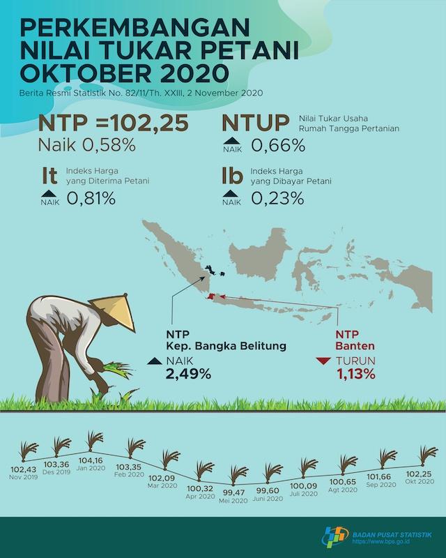 The Farmer Exchange Rate (NTP) in October 2020 was 102.25, an increase of 0.58 percent