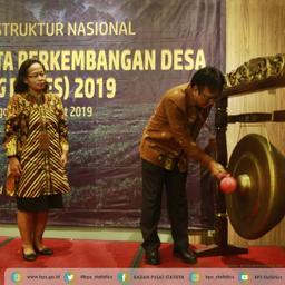 BPS Hitung IKG dan IPD untuk Pembangunan Desa