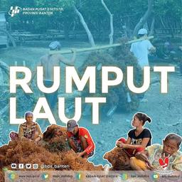 Uji Coba Kognitif Survei Rumput Laut Berbasis CAPI