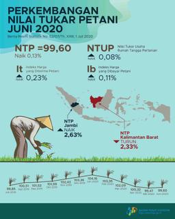 Nilai Tukar Petani (NTP) Juni 2020 Sebesar 99,60 Atau Naik 0,13 Persen