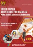 Profile of Micro Construction Establishment of Kepulauan Riau Province, 2020