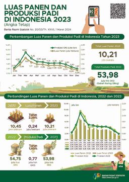 Pada 2023, Luas Panen Padi Mencapai Sekitar 10,21 Juta Hektare Dengan Produksi Padi Sebesar 53,98 Juta Ton Gabah Kering Giling (GKG)