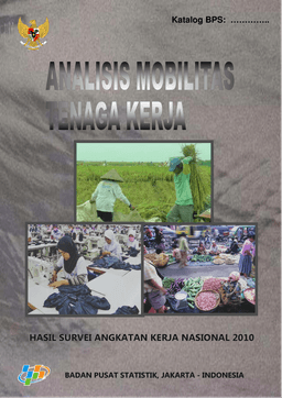 Analisis Mobilitas Tenaga Kerja Hasil Survei Angkatan Kerja Nasional 2010