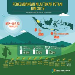 Nilai Tukar Petani (NTP) Juni 2019 Sebesar 102,33 Atau Turun 0,28 Persen