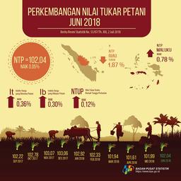 Nilai Tukar Petani (NTP) Juni 2018 Sebesar 102,04 Atau Naik 0,05 Persen. Harga Gabah Kering Panen Di Tingkat Petani Naik 2,10 Persen Dan Harga Beras Medium Di Penggilingan Turun 0,60 Persen.