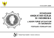 Labor Force Situation in Indonesia February 2013
