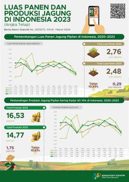 Pada 2023, Luas Panen Jagung Pipilan Mencapai 2,48 Juta Hektare. Produksi Jagung Pipilan Kering Dengan Kadar Air 14 Persen Pada 2023 Sebesar 14,77 Juta Ton.