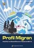 Profil Migran Hasil Susenas 2013