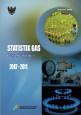 Statistik Gas 2007-2011